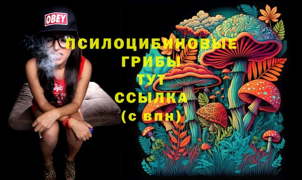 мескалин Осташков