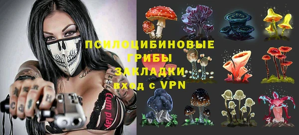мескалин Осташков